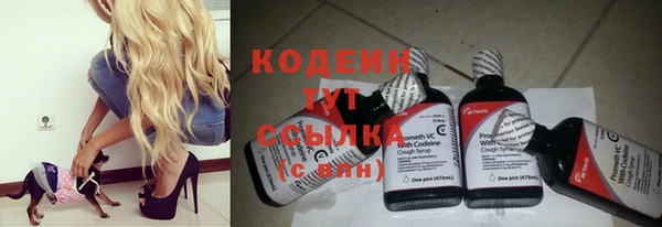 эйфоретик Иннополис