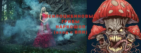 герыч Инсар