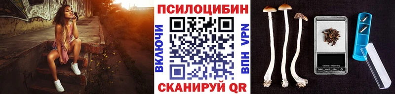 Галлюциногенные грибы MAGIC MUSHROOMS  купить закладку  Кашира 