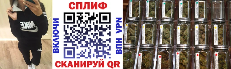 Конопля SATIVA & INDICA закладка Кашира